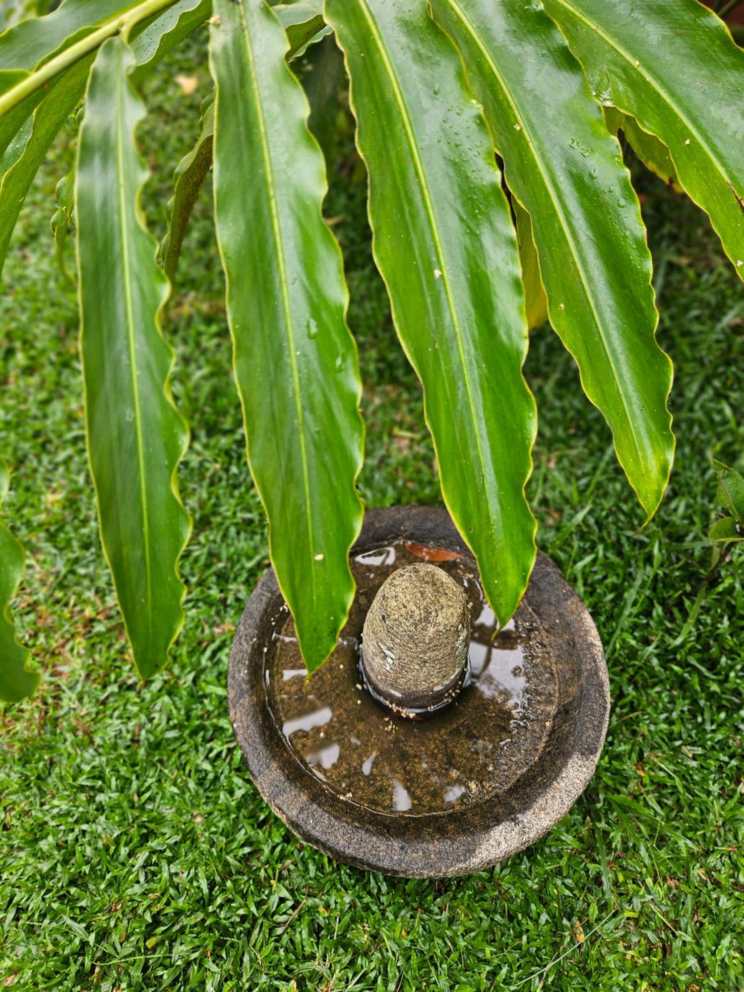Villa Mia Mararikulam Exterior photo